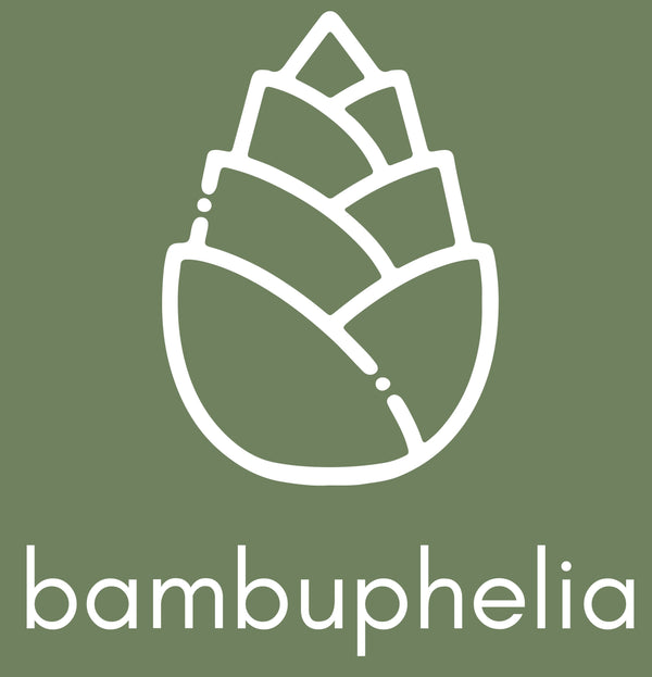 Bambuphelia 